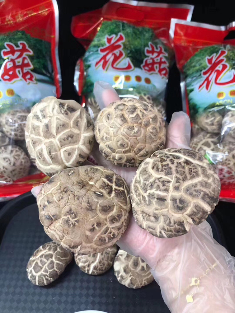 椴木花菇精选大花菇食用菌