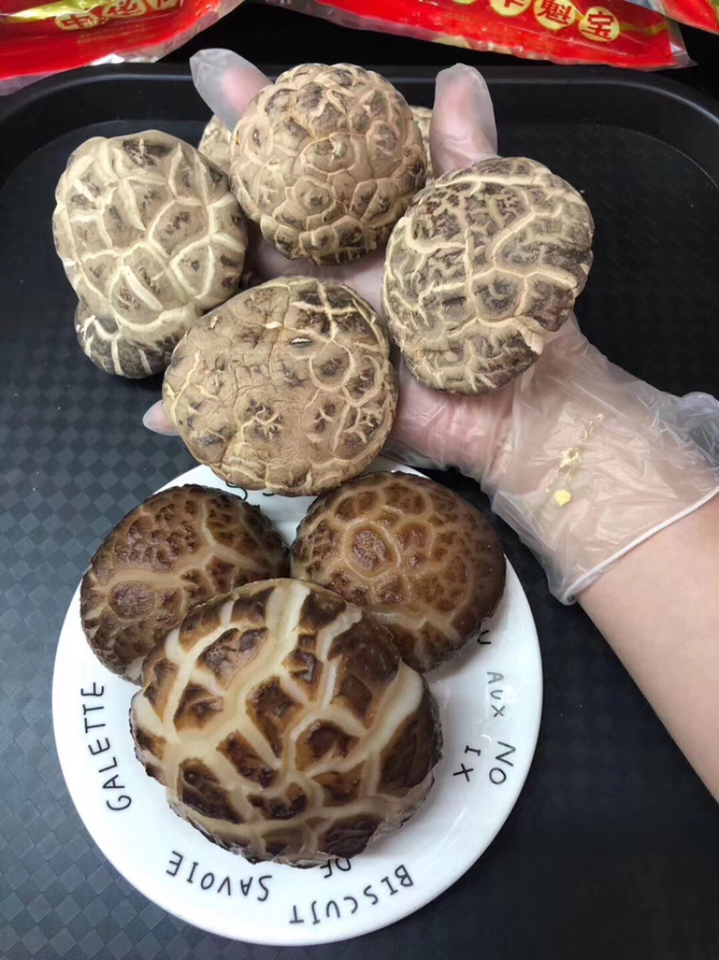 椴木花菇精选大花菇食用菌