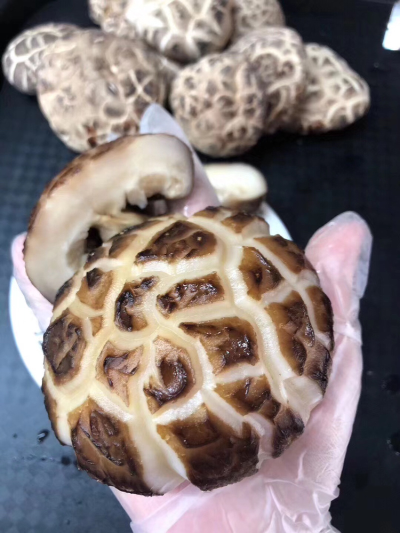 椴木花菇精选大花菇食用菌