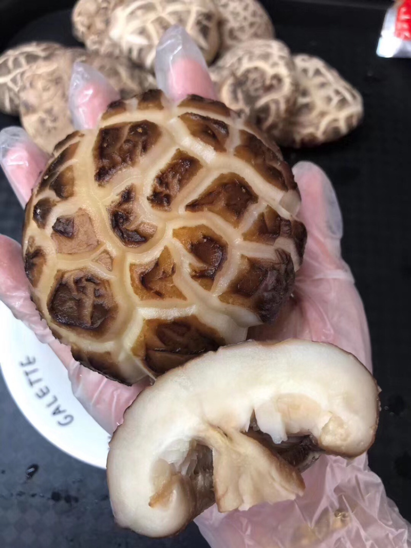 椴木花菇精选大花菇食用菌