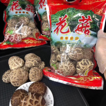 椴木花菇精选大花菇食用菌