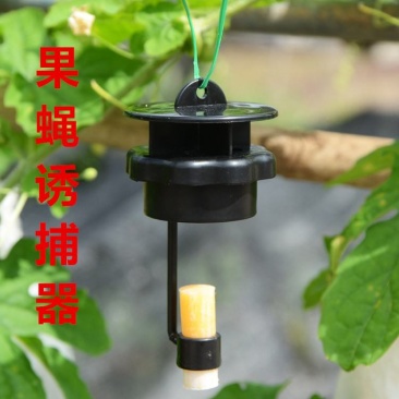 果蝇针蜂诱捕器果实蝇瓜果蔬菜花卉防虫诱虫性诱剂药水诱捕器