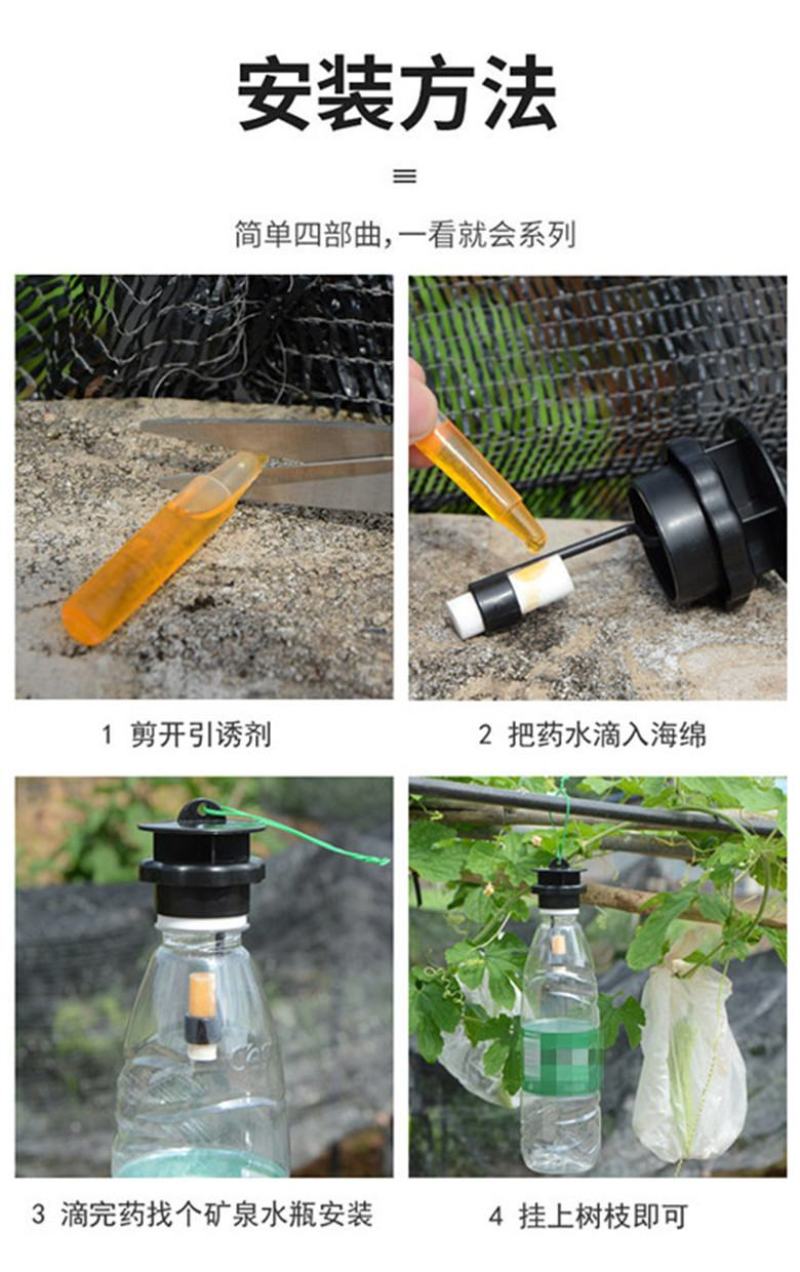 果蝇针蜂诱捕器果实蝇瓜果蔬菜花卉防虫诱虫性诱剂药水诱捕器