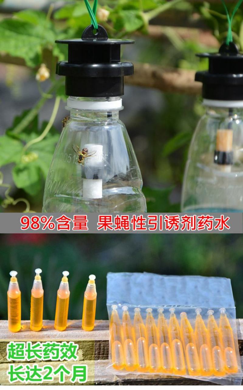 果蝇针蜂诱捕器果实蝇瓜果蔬菜花卉防虫诱虫性诱剂药水诱捕器