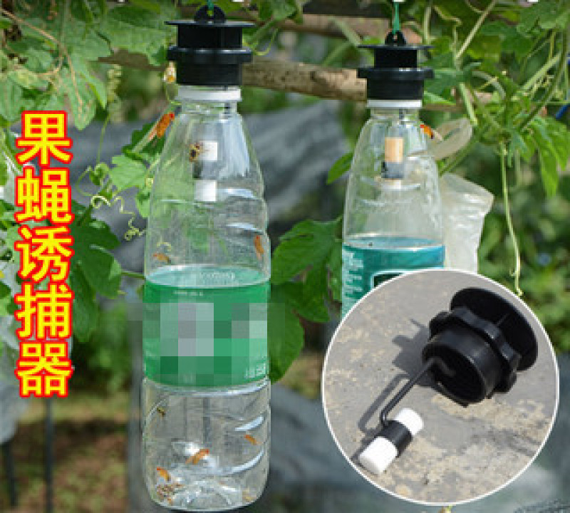 果蝇针蜂诱捕器果实蝇瓜果蔬菜花卉防虫诱虫性诱剂药水诱捕器