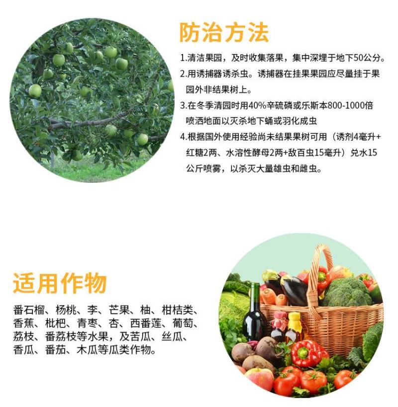 果蝇针蜂诱捕器果实蝇瓜果蔬菜花卉防虫诱虫性诱剂药水诱捕器