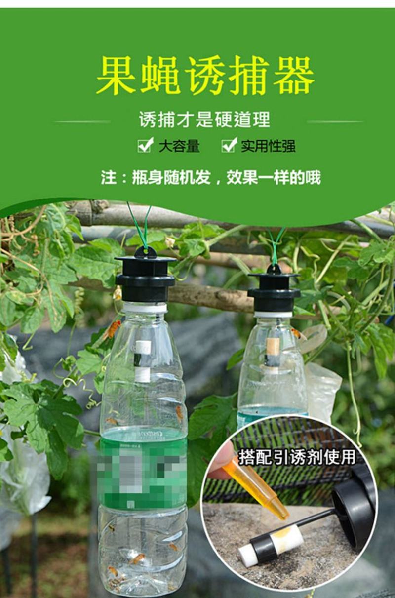 果蝇针蜂诱捕器果实蝇瓜果蔬菜花卉防虫诱虫性诱剂药水诱捕器