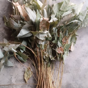 小叶淫羊藿干货！叶子颜色好！品质有保证！