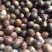 【旭华香料】圆香果长足干无硫油多光滑产地一手货量大包邮