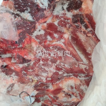 蒙古马肉五分体20年新货经过核酸检测