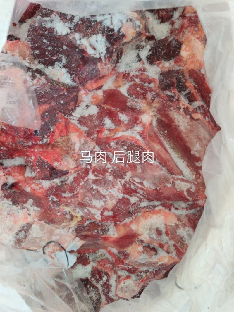蒙古马肉五分体20年新货经过核酸检测