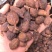 草果卤肉炖肉川菜火锅提味增香去腥解腻香料调料爆油足干无硫