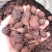 草果卤肉炖肉川菜火锅提味增香去腥解腻香料调料爆油足干无硫