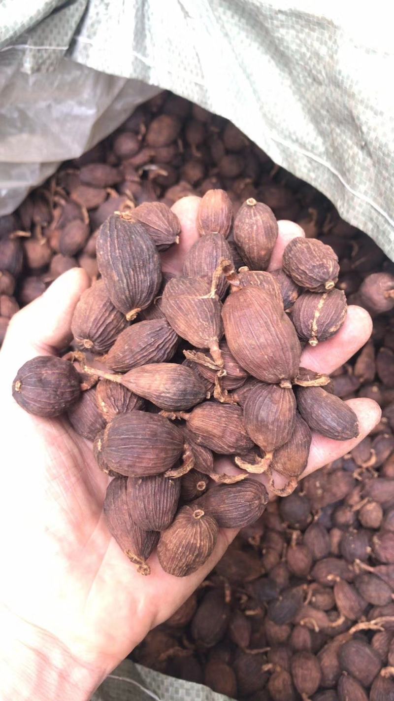 草果卤肉炖肉川菜火锅提味增香去腥解腻香料调料爆油足干无硫
