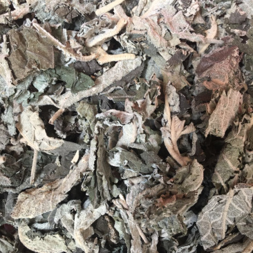 白背叶【包邮】三斤起发货可批量可零售量大从优