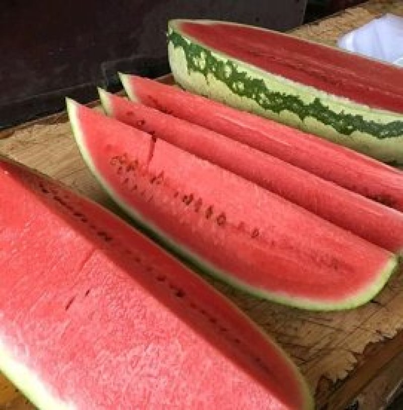 【热卖中】宁夏中卫西瓜硒砂瓜石头瓜个头大包熟包甜大量上市