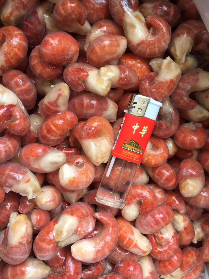 龙虾尾（高品质清水小龙虾尾）