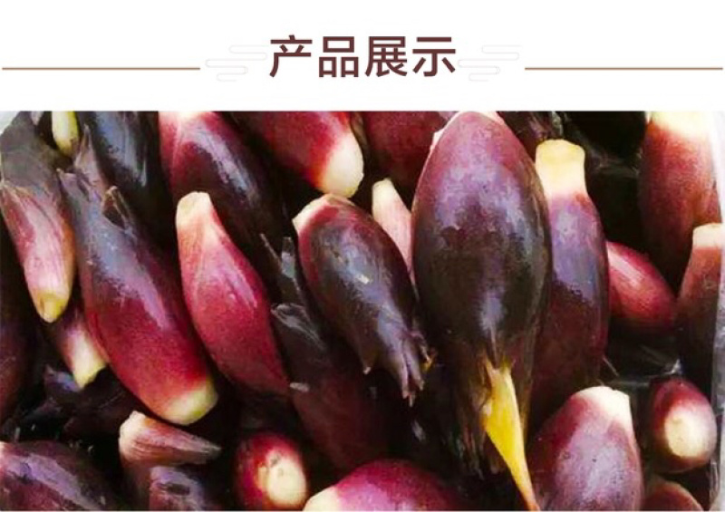 自种新鲜洋荷阳荷姜襄荷洋藿阳禾洋禾