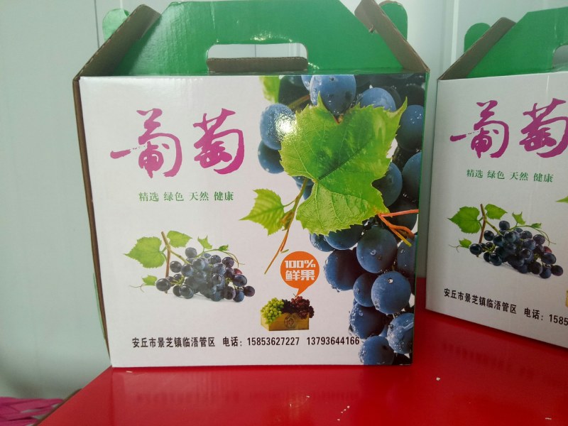 玫瑰香葡萄，巨玫瑰葡萄