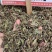 中药材猫须草肾茶新货无硫产地现货欢迎
