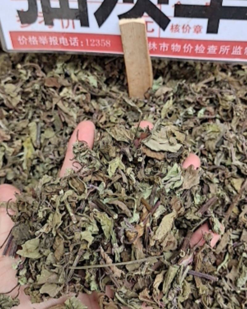 中药材猫须草肾茶新货无硫产地现货欢迎