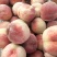 临沂仓方早生大红桃大量上市中，需要的老板可以联系了