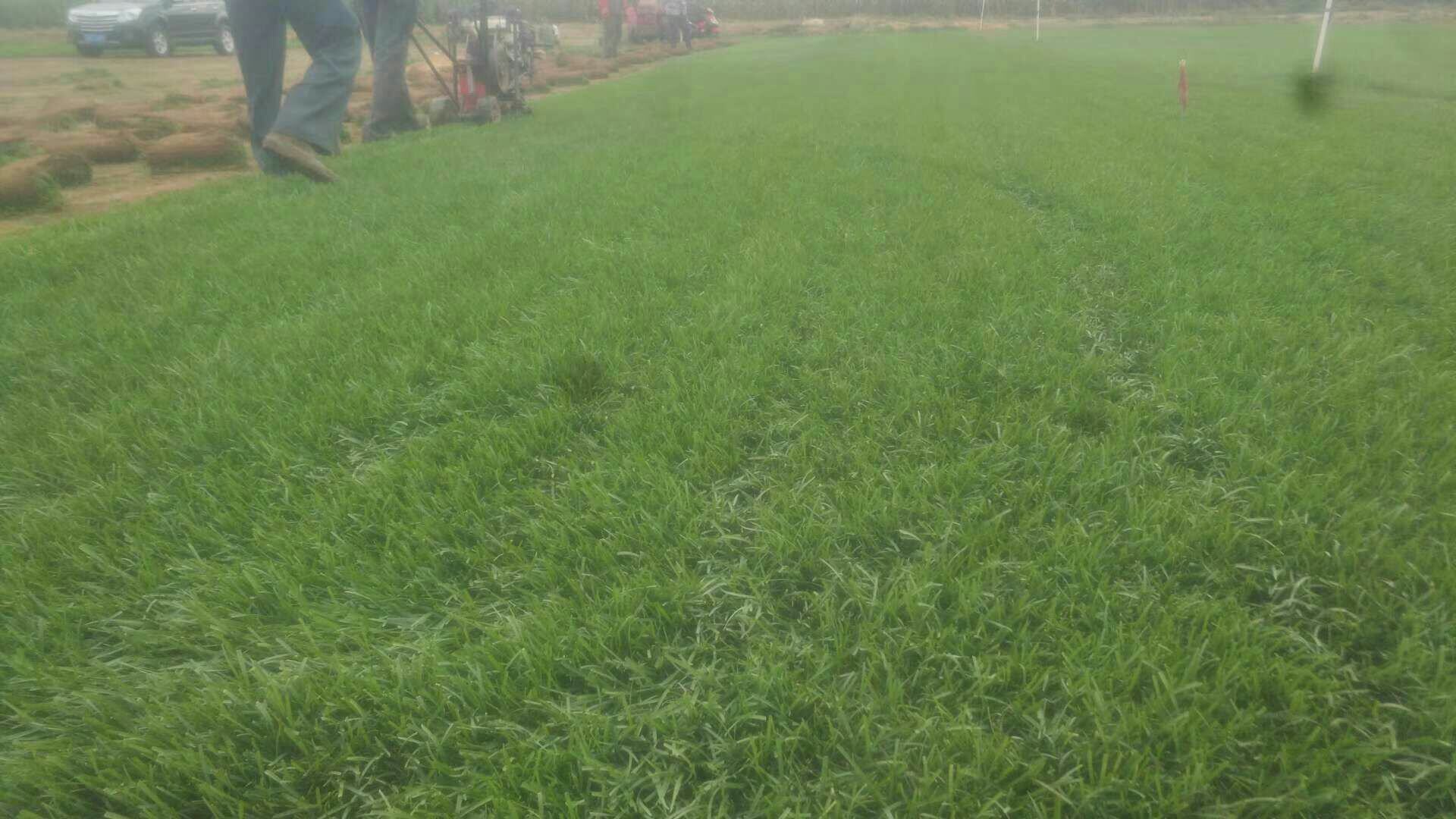 农田综合管理示意图