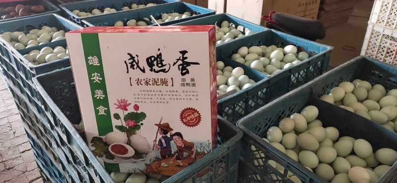 松花蛋五香蛋双黄鸭蛋鹅蛋