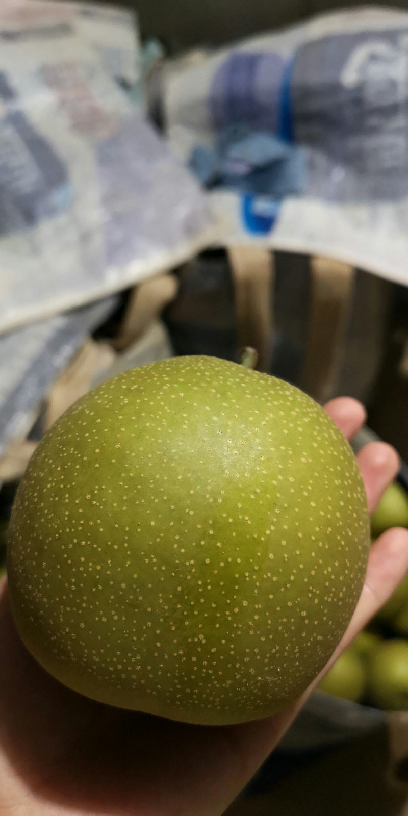 翠冠梨清一色褐皮含糖量近期飙升极甜
