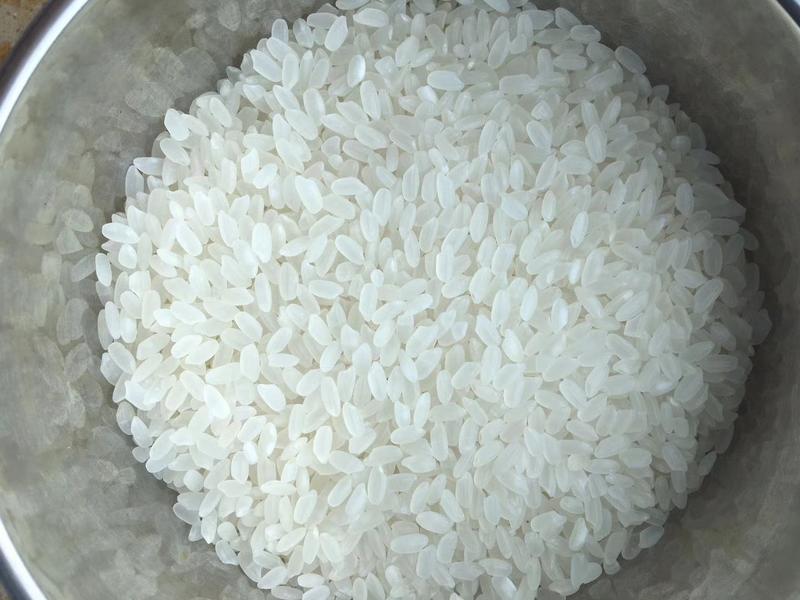 黑龙江省青岗县长粒香水稻，米质好，味美香，