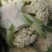 甘肃定西陇原行蔬菜合作社松花上市中，有需要的顾客联系我了