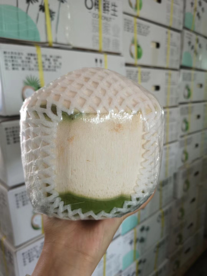 海南椰青九个装