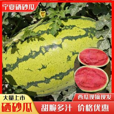 【双红金五，大】宁夏硒砂瓜，15斤打底量大从优，质量保证
