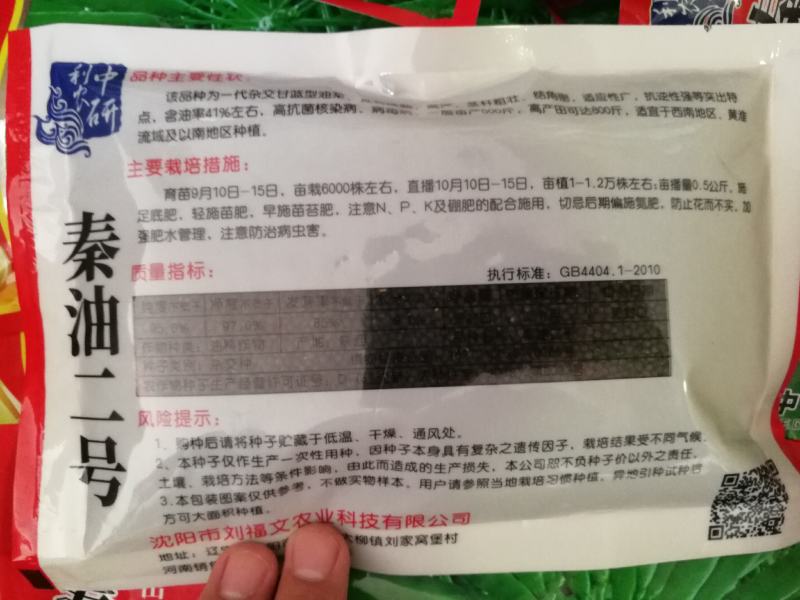 秦油二号出油率高早熟性好产量高