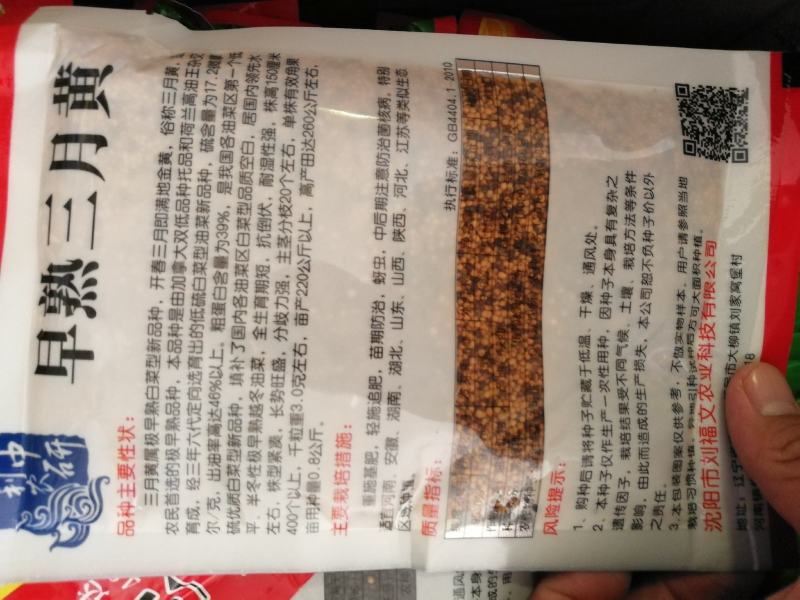 秦油二号出油率高早熟性好产量高
