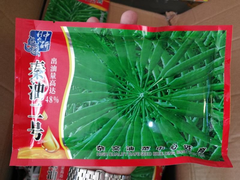 秦油二号出油率高早熟性好产量高