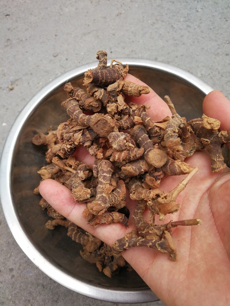 小良姜小良姜片小良姜个良姜高良姜