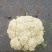 大量散花上市，欢迎老板来打扰