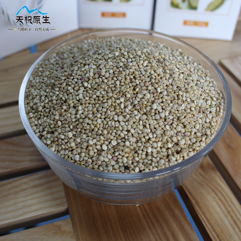 天祝原生白色藜麦500g非青海一级脂减代餐辅食粥甘肃特产