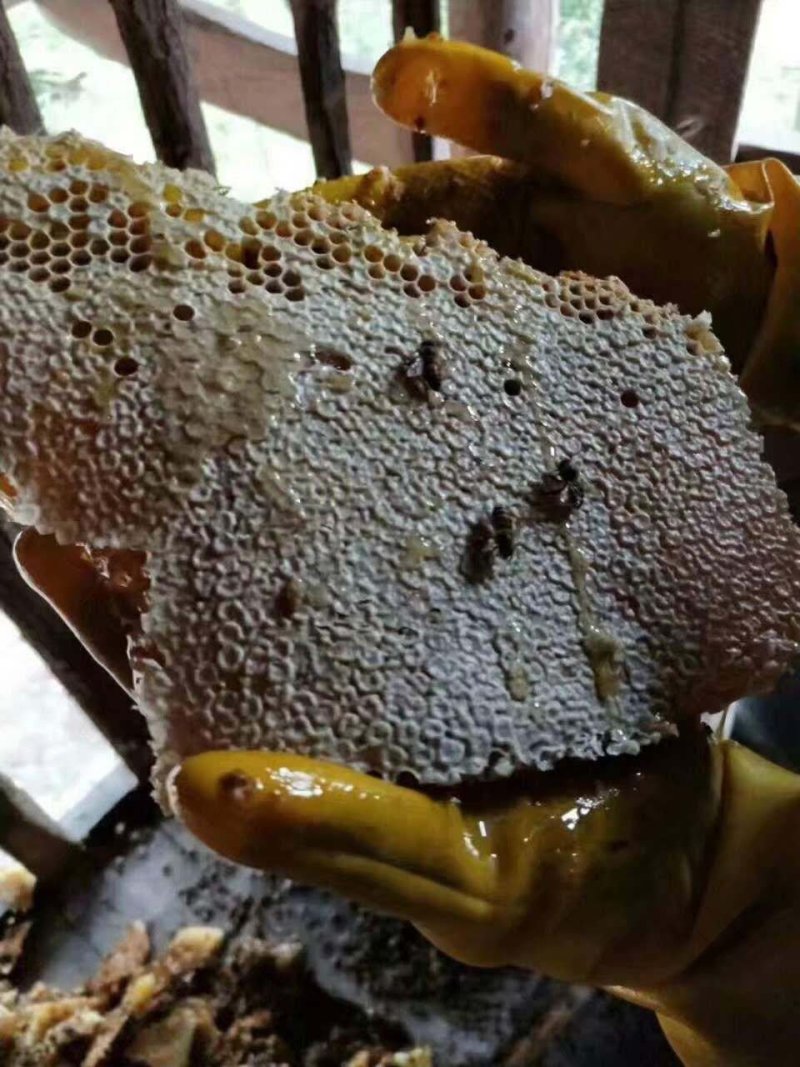 蜂蜜