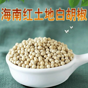 海南白胡椒调味香料煲汤炖汤香味十足