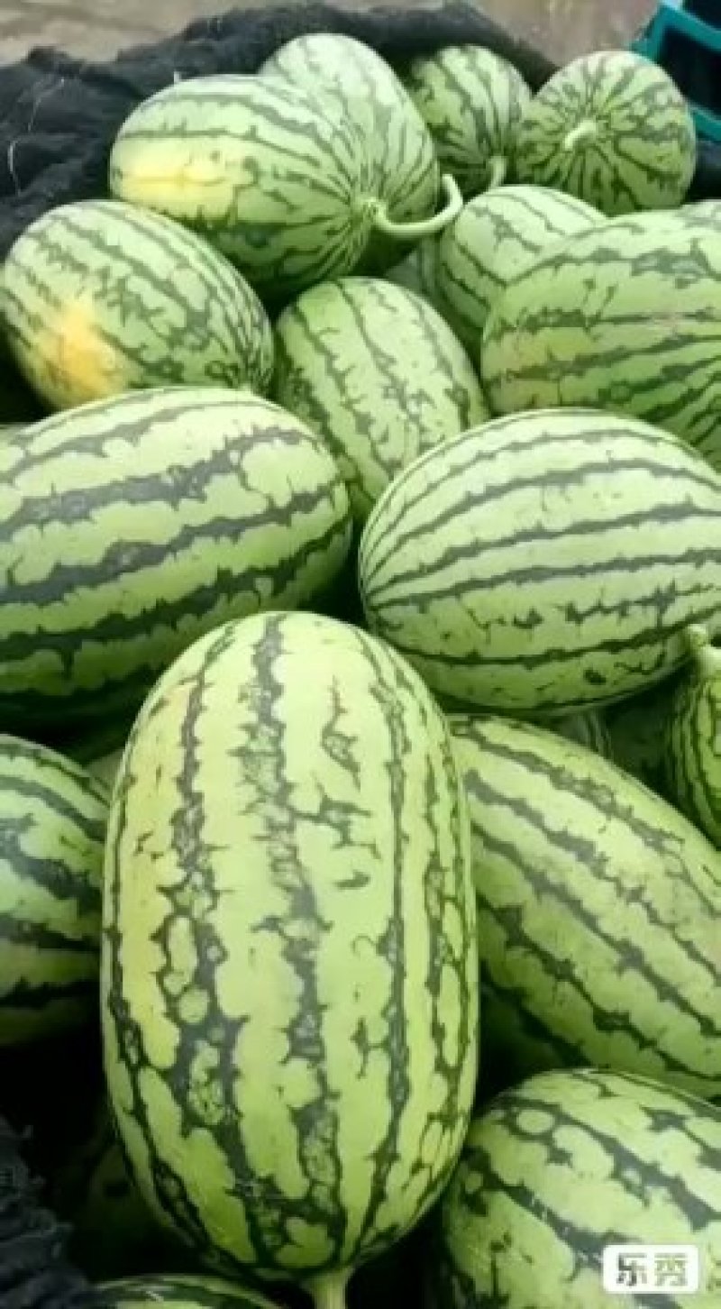 全美2k大量有货质量放心真诚相待量大从优