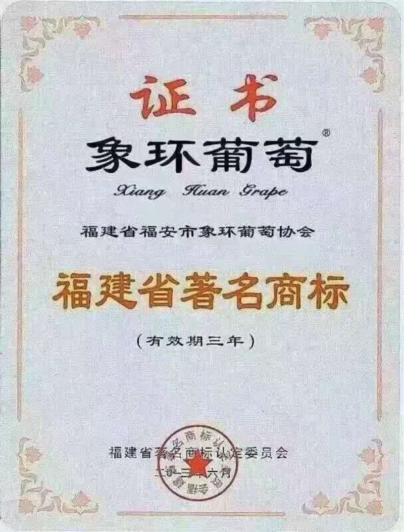 福建福安巨峰葡萄