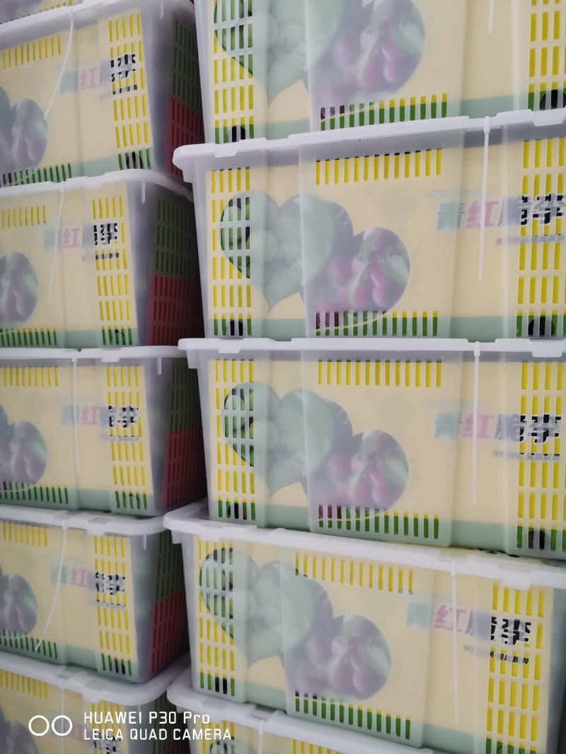 脆红李
