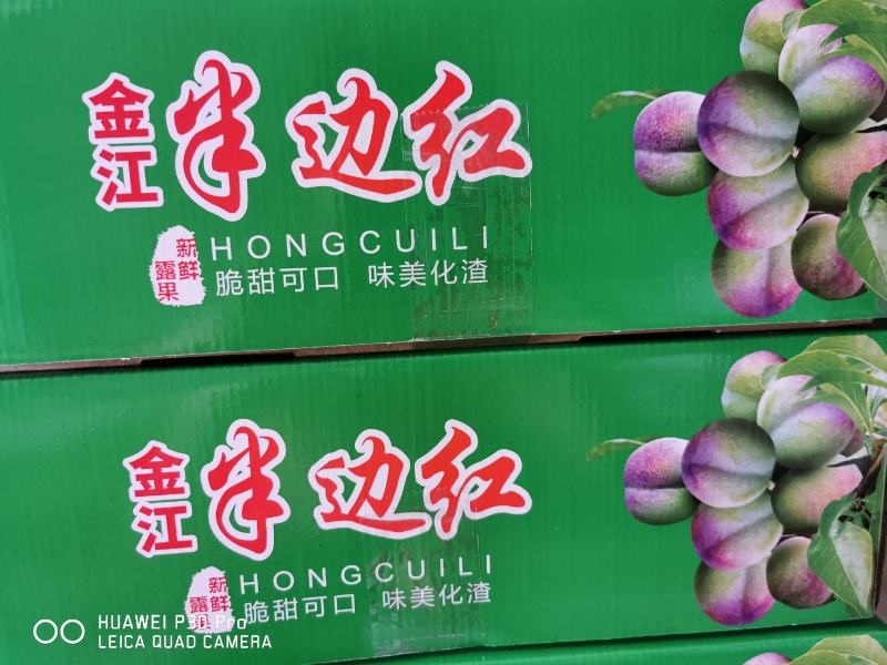 脆红李