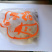 3-5年老鸽子，营养美味，送料包