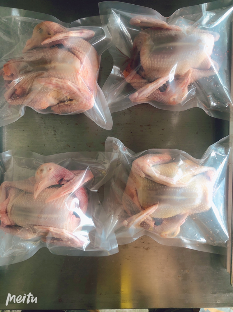 3-5年老鸽子，营养美味，送料包
