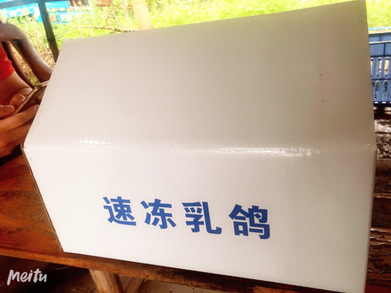 新鲜乳鸽、鸽子、肉鸽真空包装5只起批250g-300g