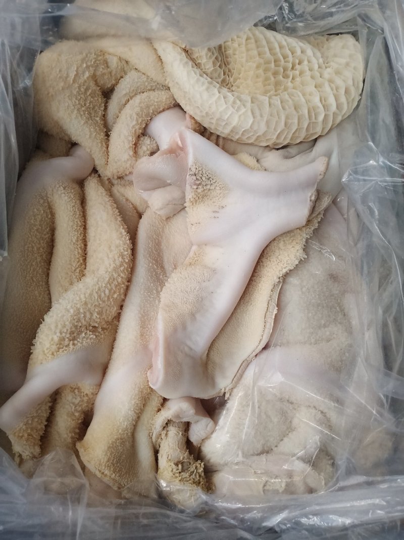 牛肚，半成品牛肚。干净无油，3分熟度