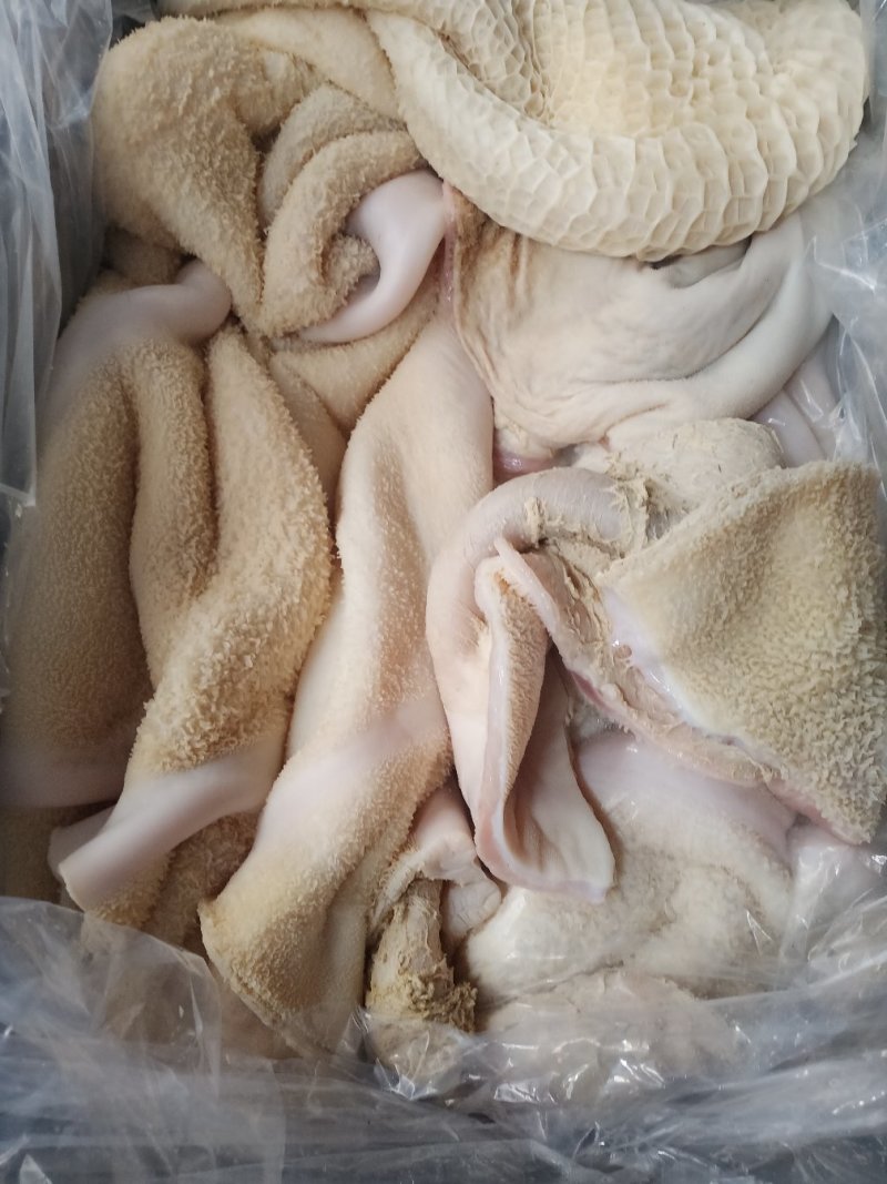牛肚，半成品牛肚。干净无油，3分熟度